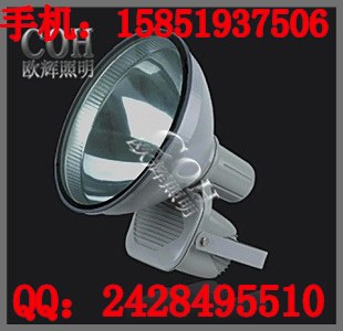 供应防水防尘防震投光灯三防投光灯吸顶投光灯