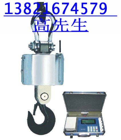 供应山东OCS-20吨电子挂钩秤，青海OCS-3吨电子吊称