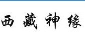 乌龙健骨丹 通络健骨五虫丹 筋骨康玉丹 通络健骨丹