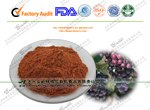 葡萄籽提取物