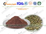 小茴香提取物
