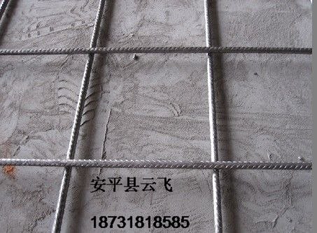 钢筋网