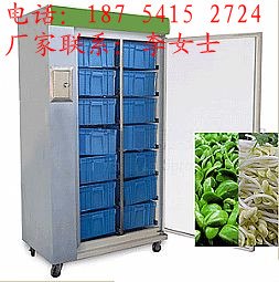 供应全自动科创豆芽机技术最先进实用