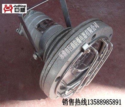 供应矿用防爆LED投光灯DGS20/127L（A）
