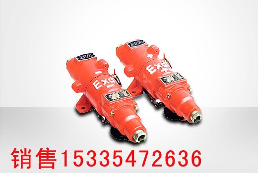 供应LBD-100/220Z煤矿用蓄电池式电机车用隔爆型插销连接器