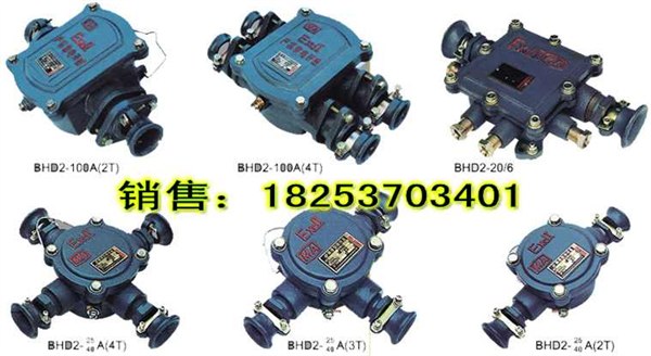 供应品种多BHD2矿用隔爆型低压电缆接线盒