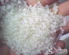 供应　 LLDPE  DNDA8320  兰州石化 