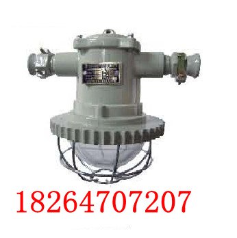 DGS12/127L(A)矿用隔爆型LED巷道灯