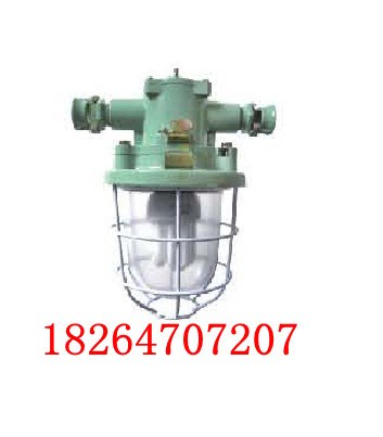 DGS20-127矿用隔爆型节能灯