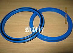 MPI油封