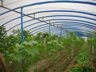 供应蔬菜大棚建设工程大棚支架机厂家