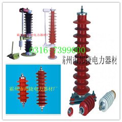 供应专业制造100A  HRW3-10型户外硅橡胶绝缘子跌落式熔断器
