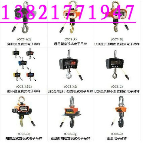 供应张家口100吨打印电子吊钩秤