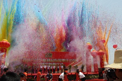 供应杭州开业布置杭州搭建舞台布置杭州开业庆典策划