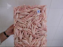 供应一级冷冻美女鸡爪鸡翅凤爪猪头猪肚牛排牛肉