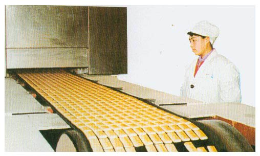 山东饼干机机械设备厂家-山东创新食品机械低价供应