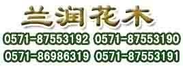 供应杭州植物租赁公司