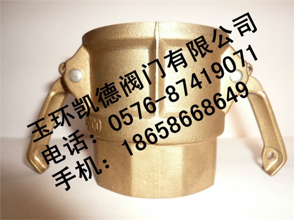 快速接头D型