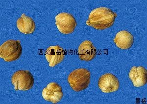 供应白豆蔻提取物