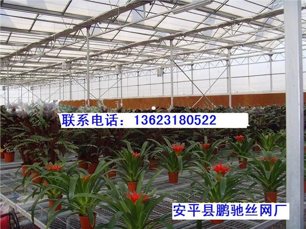 供应养花网花卉网热镀锌苗床网植床网花网