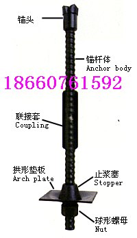 供应自进式中空注浆锚索