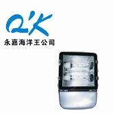 供应NFC9131节能型热启动泛光灯 永嘉海洋王NFC9131 NFC913