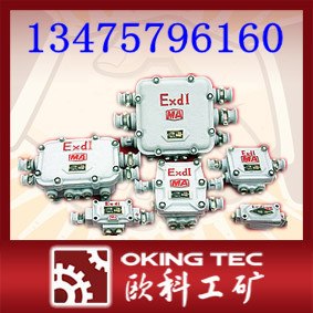 供应BHDT-3-0.06/127系列防爆通信接线盒 