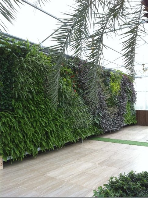 供应浙江杭州沃霖植物墙之杭州瑞香源生态餐厅植物墙