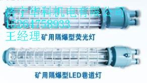 系列矿用照明灯 系列矿用隔爆型LED巷道灯  矿用防爆灯  矿用LED灯 矿用防