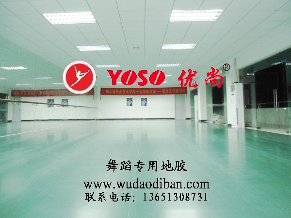 舞蹈地板地胶销售，舞蹈地板地胶配送，舞蹈地板地胶安装