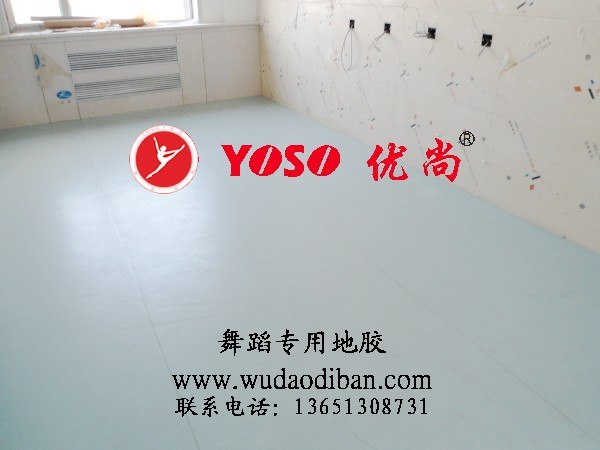 供应舞蹈地胶，与您共舞青春，舞台地胶