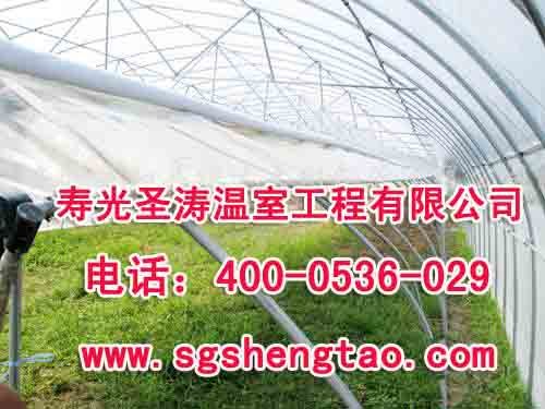 寿光哪里的大棚建造好/圣涛温室