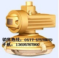 供应SBD1105-YQL120A森本防爆灯批发零售