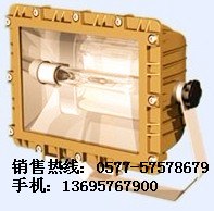 供应SBD1109，SBD1109森本防爆泛光灯批发