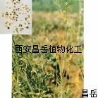 供应白芥子提取物