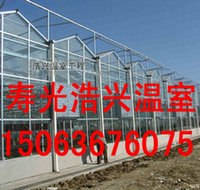山东最好的温室工程公司是哪家？首选浩兴农业
