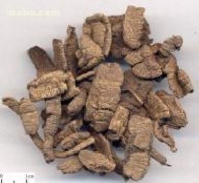 供应巴戟天提取物