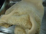 供应批发印度 散装牛肚批发价格