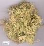 供应竹茹提取物