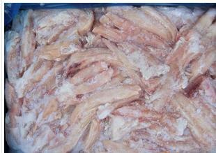 供应牛鞭、牛腱、牛板筋、牛蹄筋