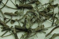 供应夜交藤提取物
