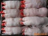 供应济南冷冻食品批发猪肘 