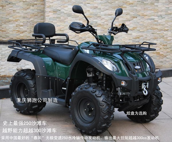 供应狮跑SP250-11沙滩车