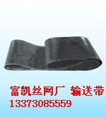 供应普通输送带网