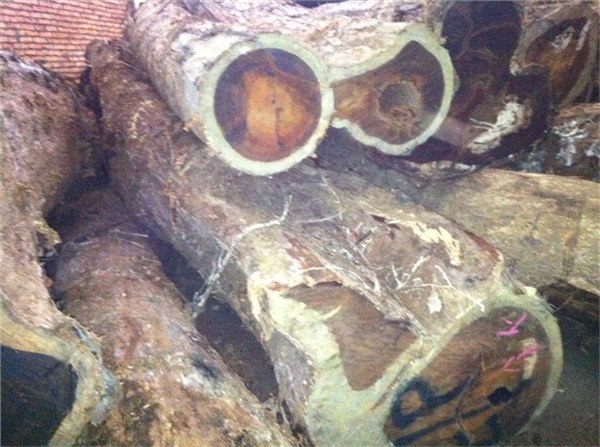 供应广州原木进口报关需要提供什么单证|深圳进口原木单证