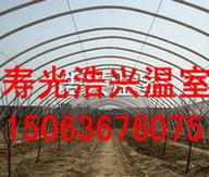 寿光蔬菜连栋大棚温室建造价格找浩兴