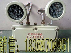 供应优质BAJ52防爆应急灯 双灯头应急灯  应急灯厂家  