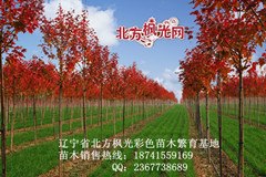 丹东一日游线路_丹东一日游价格_丹东一日游景点