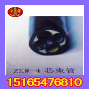 供应色谱检测器 3P束管清洗机 矿用束管