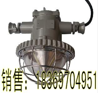供应矿用防爆灯DGS12W/127L（B）防爆巷道灯 厂家批发销售